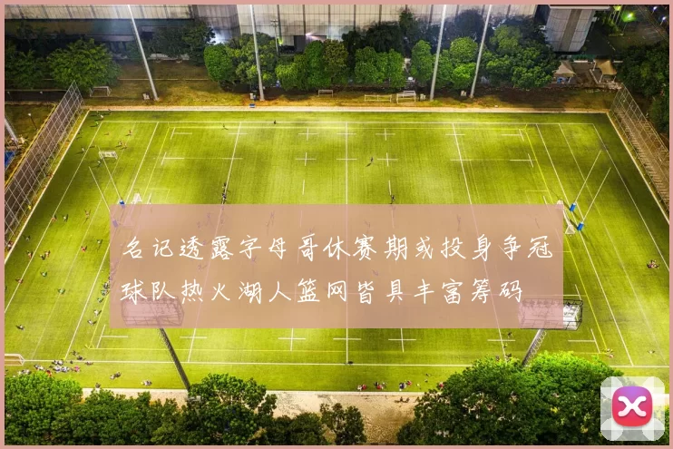 名记透露字母哥休赛期或投身争冠球队热火湖人篮网皆具丰富筹码